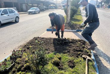 کاشت گل به مناسبت سال نو توسط شهرداری لوندویل