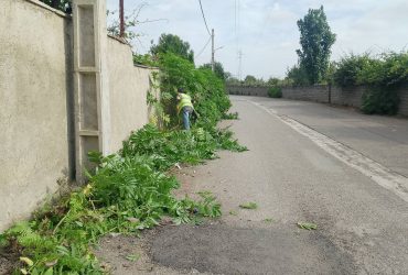 پاکسازی معابر سطح شهر لوندویل
