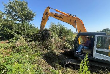 لایروبی و ساماندهی کانال خیابان شهید برنجچی شرقی