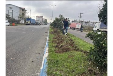 آماده‌سازی بلوارهای لوندویل برای نصب سیستم روشنایی درختچه‌ها